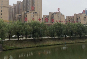 5D多彩水包砂