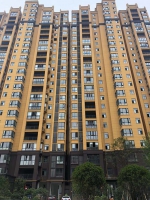 5D多彩水包砂
