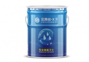 专业墙面漆