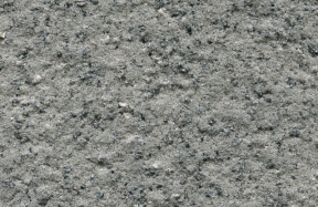 JSM-2020-42