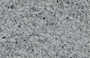 JSM-2020-21