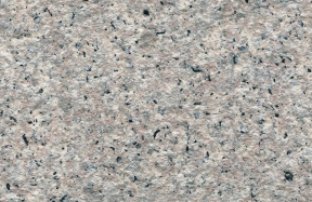 JSM-2020-29
