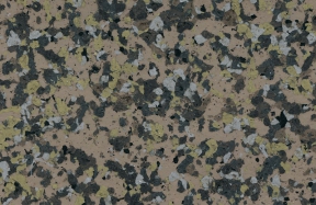 JSM-2020-13