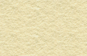 JSM-8011
