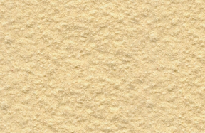 JSM-8012
