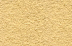JSM-8013