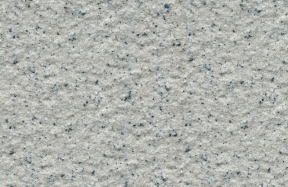 JSM-8021
