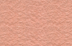 JSM-8028