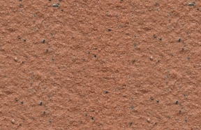 JSM-8029