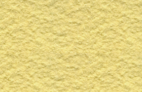 JSM-8036