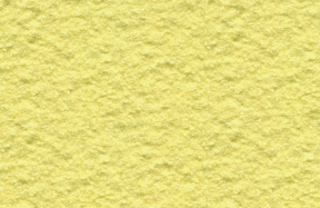 JSM-8037