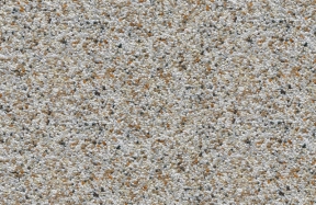 JSM-7007