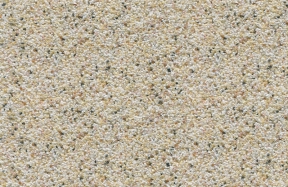 JSM-7009