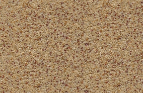 JSM-7011
