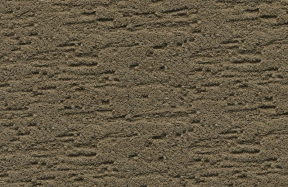 JSM-005