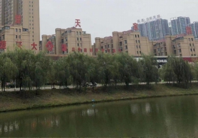 工程案例